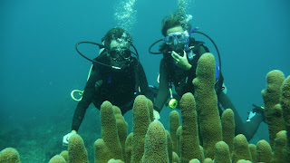 Tauchgang bei Mabouya Island.