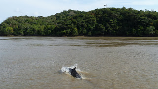 Boca Chica, Rio Tuira, Darien.