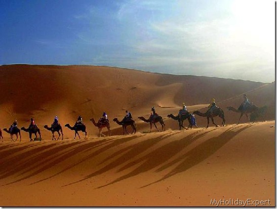 2757384-Camel_trek_in_the_Sahara_near_Douz_Tunisia-Tunisia