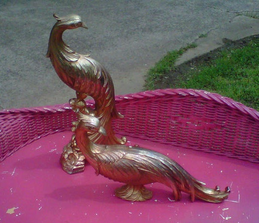 [birds b4[3].jpg]