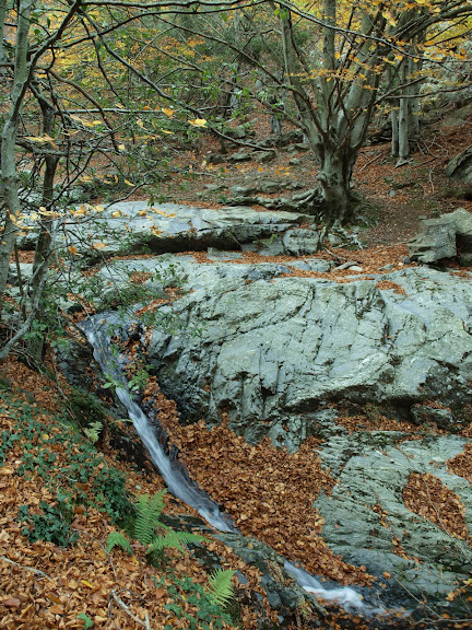 Foto de    Montseny: Viladrau-Matagalls