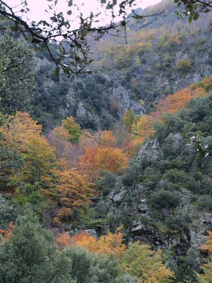 Foto de    L'Oratori