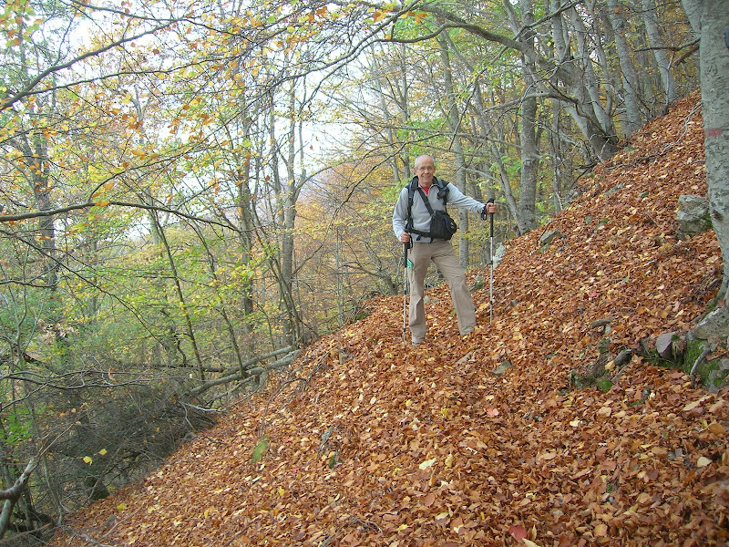 Foto de    Montseny: Viladrau-Matagalls