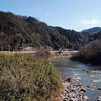 DSC_0935.JPG