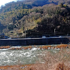 DSC_0823.JPG