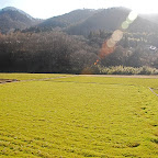 DSC_0845.JPG