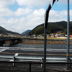 DSC_0919.JPG