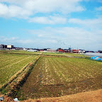 DSC_0959.JPG