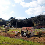 DSC_0976.JPG