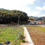 DSC_0978.JPG