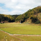 DSC_0981.JPG