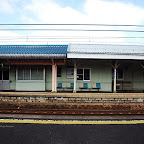 DSC_1001.JPG