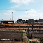 DSC_1005.JPG