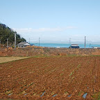 DSC_1025.JPG