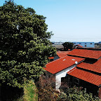 DSC_1033.JPG