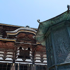 P1020287.jpg