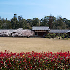 P1020333.jpg