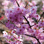 DSC_5403.jpg