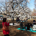 DSC_5419.jpg