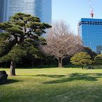 DSC_5685.jpg