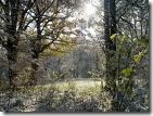 Natureza Natureza