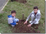 Plantando árvores Plantando árvores