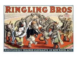 [Ringling Bros Elephants[4].jpg]