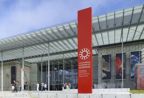 Previous building