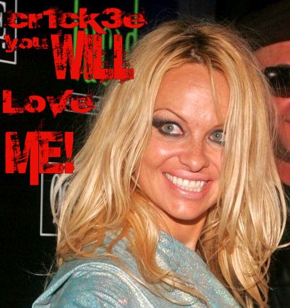 pamela anderson gets fucked