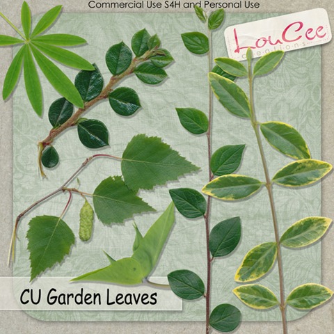 [lcc-GardenLeaves-Preview[3].jpg]