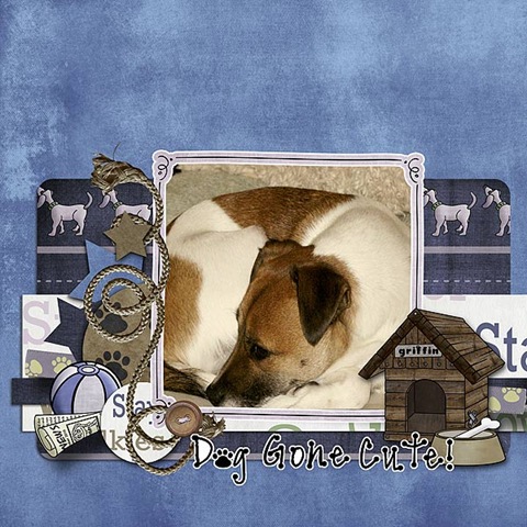 [dog_web5.jpg]