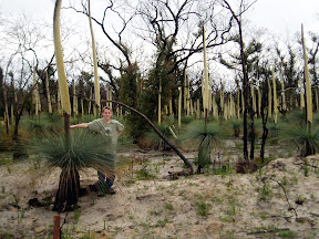 PA010039.JPG