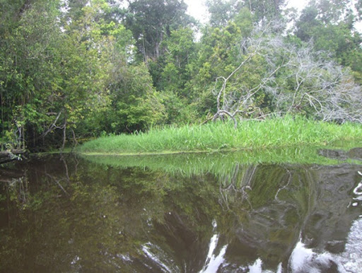 sungai-tolak