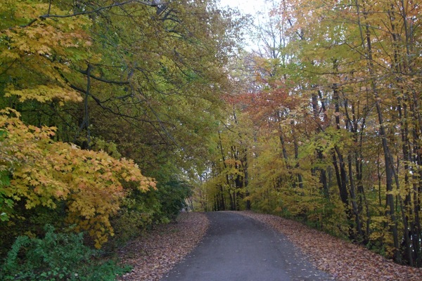 [b2009_1021mogadore0074[3].jpg]