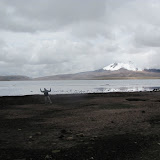 IMG_2259.JPG