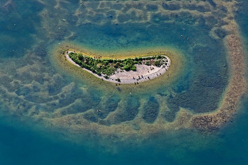 Bird Sanctuary