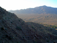 DSC02948.JPG Photo