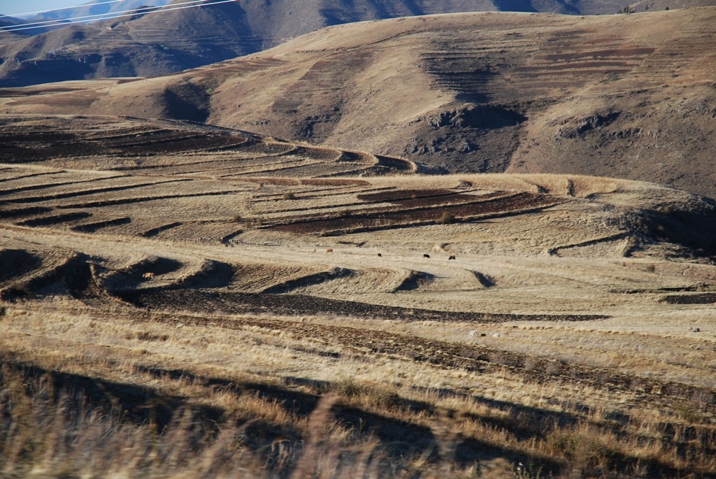 [Lesotho192.jpg]