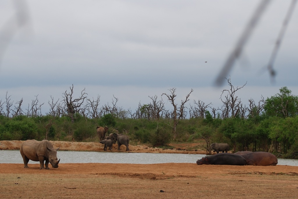 [Swaziland162.jpg]