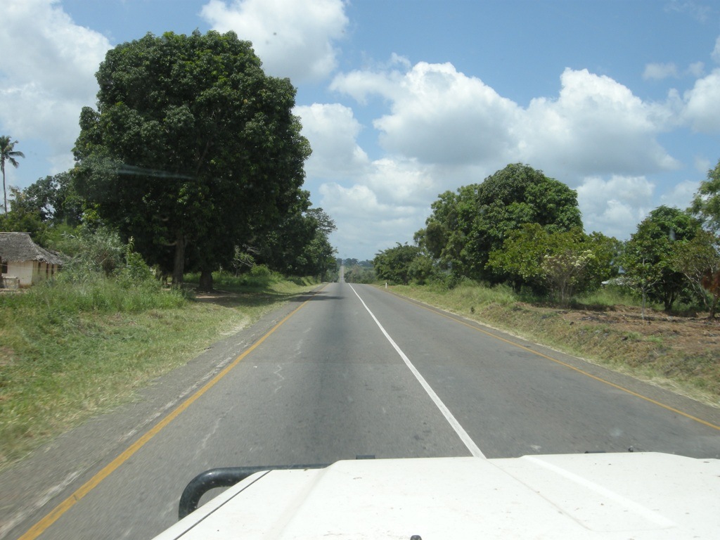 [Tanzania312.jpg]