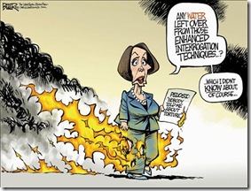 Pelosi Burning