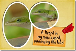cwooddell_warmsummerquote_qp2lizardWEB