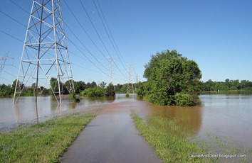 Flooded trail near the Wolf River, 1/4 mile south of the campground.