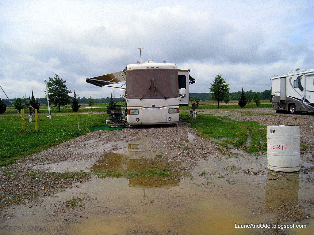 [Waterlogged[4].jpg]