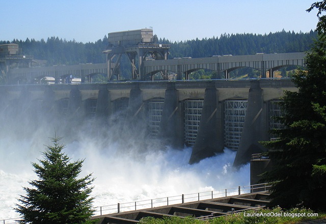 [Bonneville Dam releases[4].jpg]
