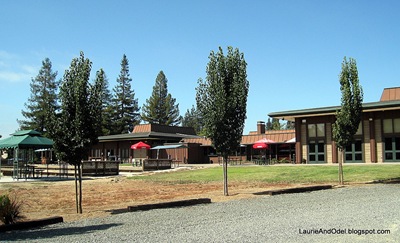 Back of Napa Elks Lodge, seen from RV sites.
