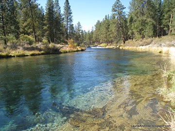 Clear blue water of Spring Creek, a short walk from the campground. Clear blue water of Spring Creek, a short walk from the campground.