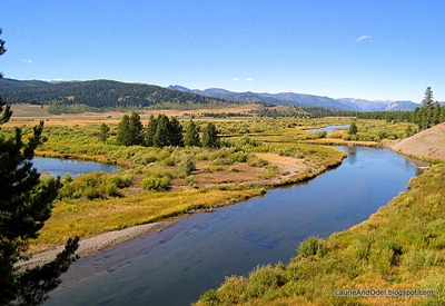 Beautiful landscape along Madison Arm Road near West Yellowstone.