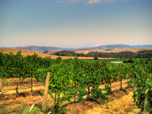 terroir