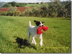 SAM_0266 SAM_0266